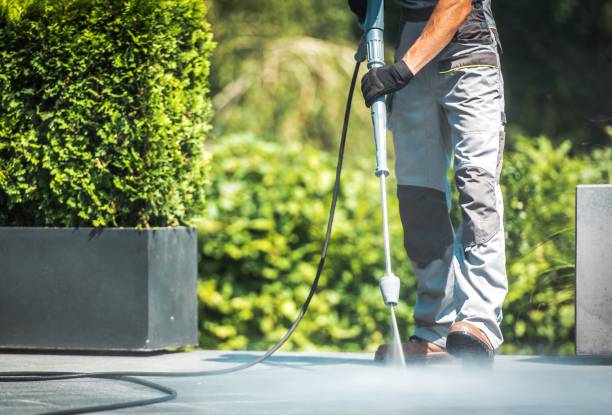 Best Solar Panel Cleaning  in Lake Dunlap, TX
